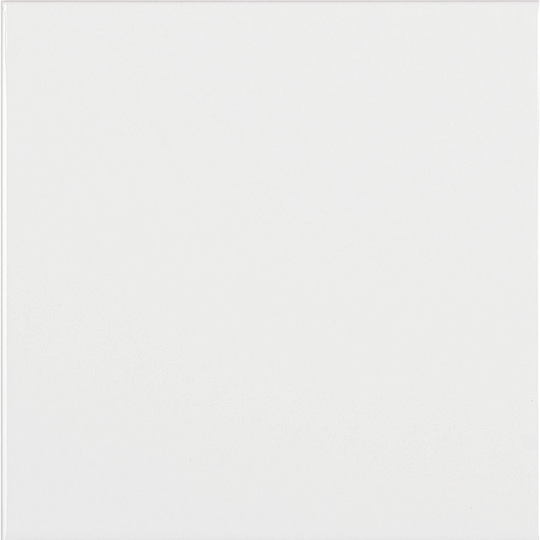 C1 VIT BLANK 20X20 | Beijerbygg Byggmaterial
