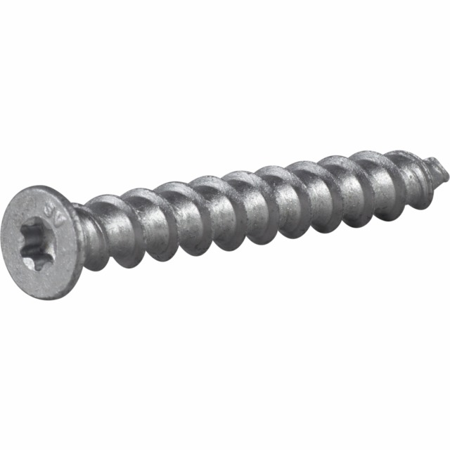 LÄTTBETONGSKRUV 8X65MM 100ST